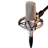 Audio-Technica AT4047SVSC Cardioid Condenser Microphone