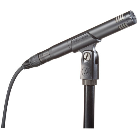 Audio-Technica AT2031 Cardioid Condenser Microphone