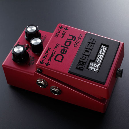 Boss DM-2W Waza Craft Analog Delay