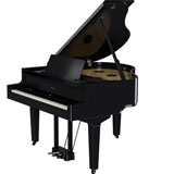 Roland GP-9M PE Digital Grand piano