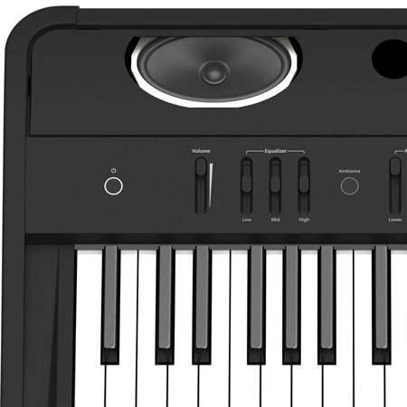 Roland FP-90x BK Premium Portable Digital Piano