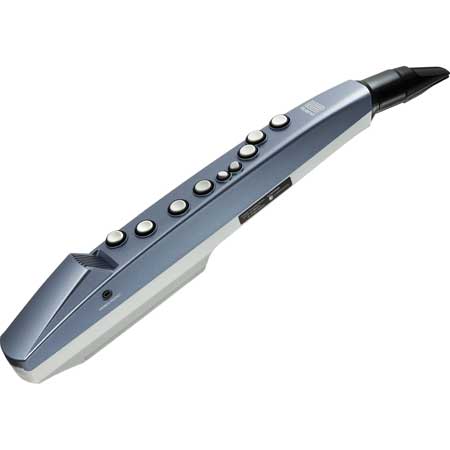 Roland AE-01 Aerophone Wind Instrument