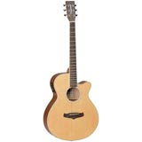 Tanglewood TW9 Winterleaf Guitar