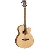 Tanglewood DBTSFCEPW Discovery Exotic Guitar