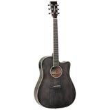 Tanglewood TW5EBS Winterleaf Black Shadow Guitar